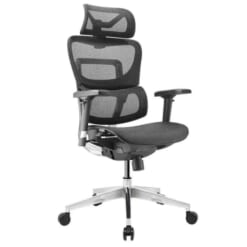 Ghế Ergonomic FLY